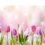 Ароматные пряничные цветы
